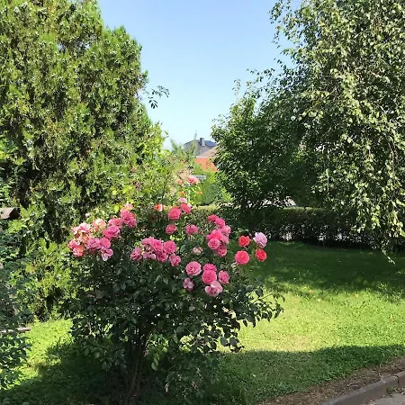 Urgemuetliches Haus In Den Hofgaerten Nyaraló